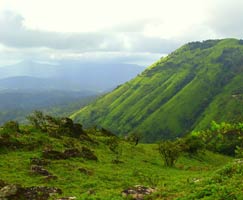 Ooty Honeymoon