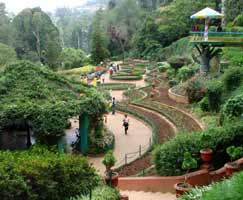 Ooty Tour Package