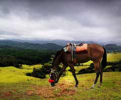 Travel To Ooty