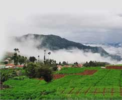 Ooty Vacation Package