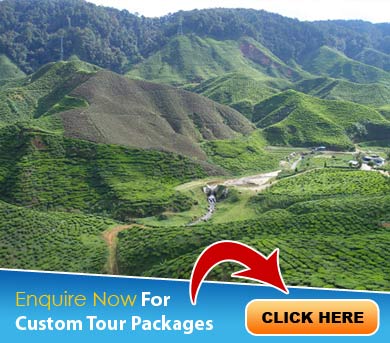 Ooty Tour Packages