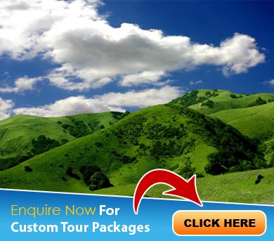 Ooty Tour Packages