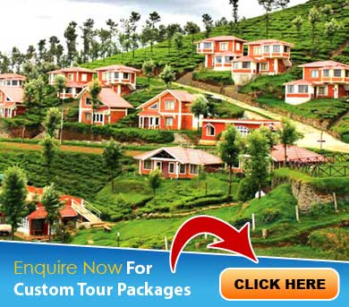 Ooty Tour Packages