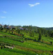 Ooty Tour Packages